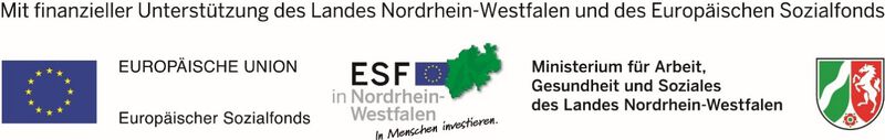 europäische union esf