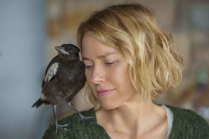 beflgelt filmstill 06 300dpi