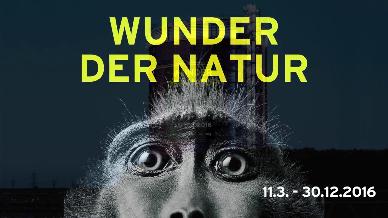 wunder der natur