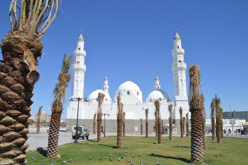 schmale medina 2025 2