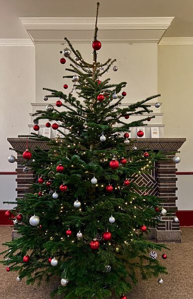 tannenbaum