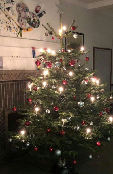 Foto Weihnachtsbaum